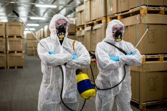 A Brief Guide to Pest Control