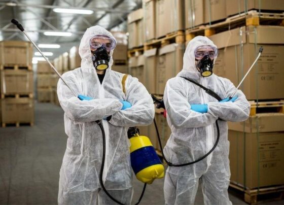 A Brief Guide to Pest Control